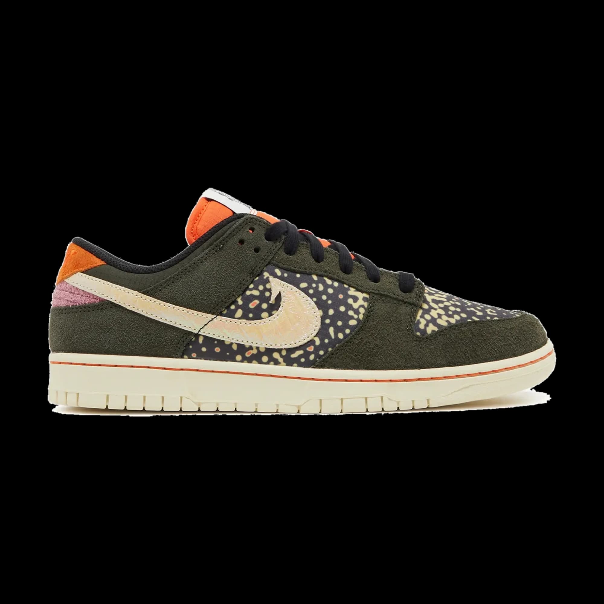 Nike Dunk Low Gone Fishing Rainbow Trout