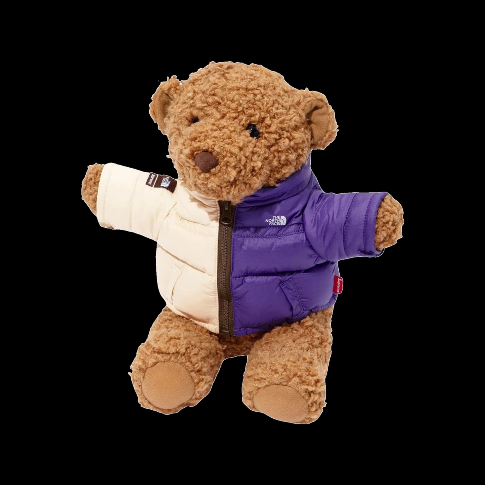 Supreme Bear x North Face